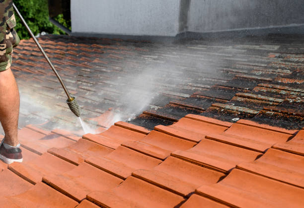 Garage Pressure Washing in Indian Rocks Beach, FL